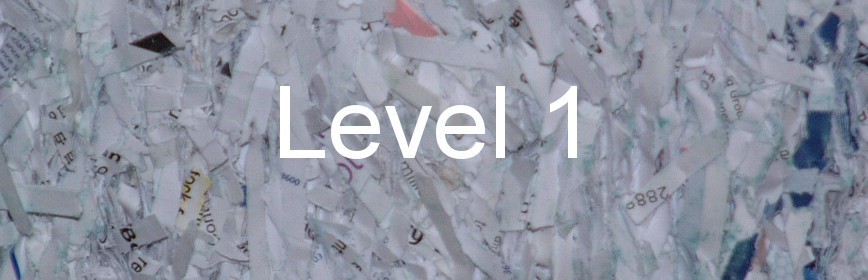 Level 1