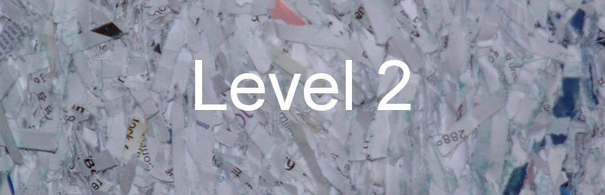 Level 2