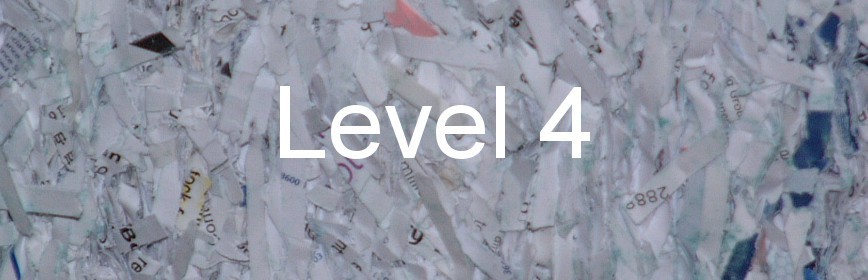 Level 4