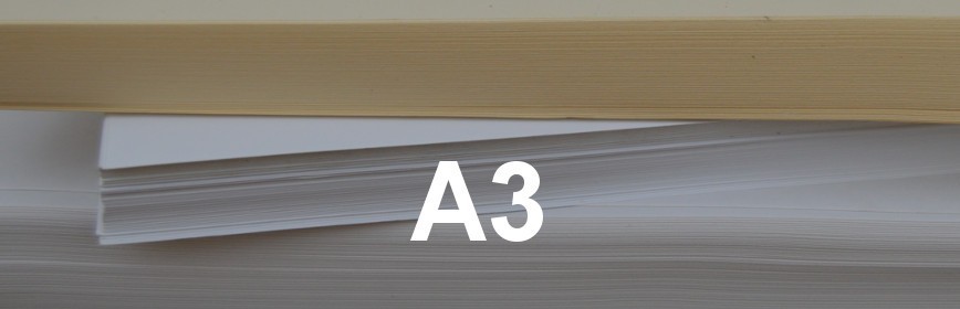 A3 Paper Size